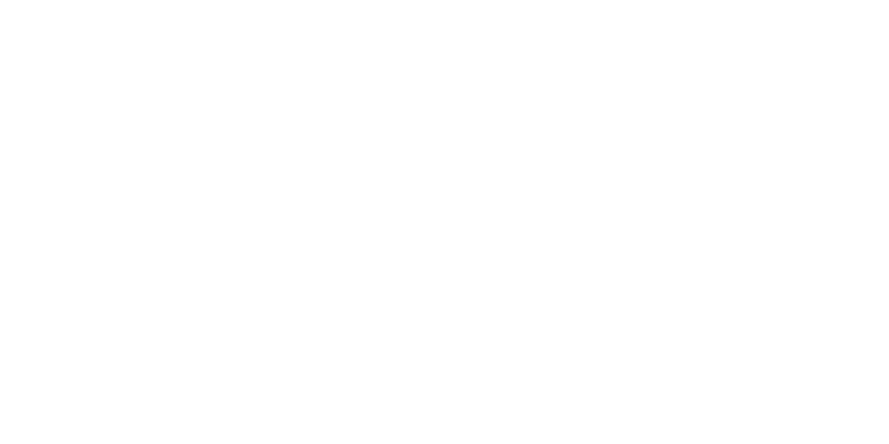 Site Logo White